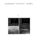 ANTI-WEAR PERFORMANCE OF LUBRICANTS USING CARBON NANOPLATELETS diagram and image