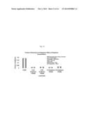 ANTI-WEAR PERFORMANCE OF LUBRICANTS USING CARBON NANOPLATELETS diagram and image