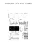 TFEB VARIANTS AND USES THEREOF diagram and image