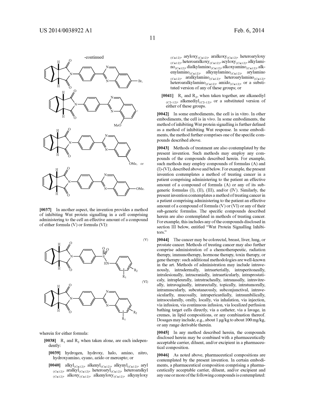 WNT PROTEIN SIGNALLING INHIBITORS - diagram, schematic, and image 37