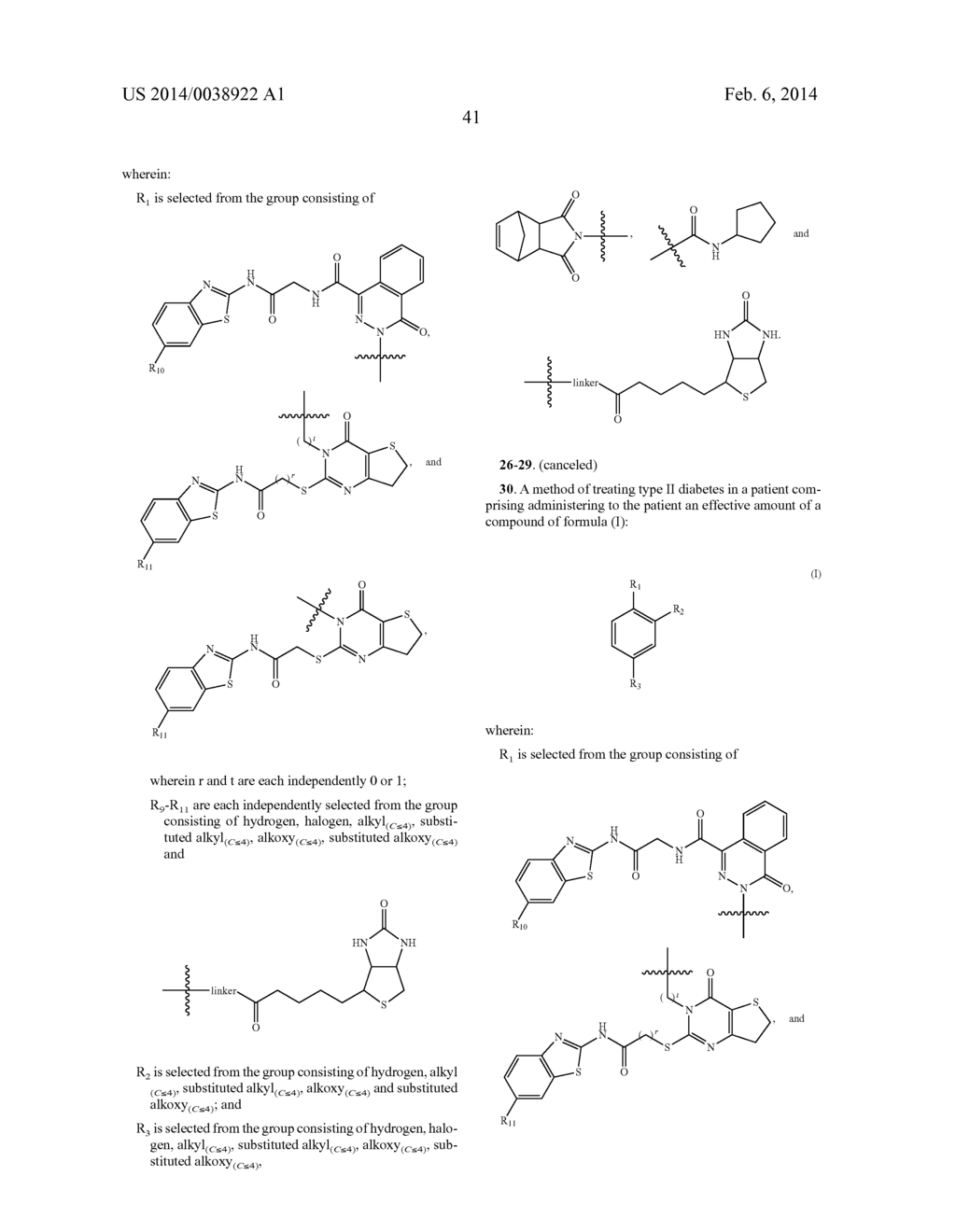 WNT PROTEIN SIGNALLING INHIBITORS - diagram, schematic, and image 67