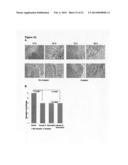 CDK8-CDK19 SELECTIVE INHIBITORS AND THEIR USE IN ANTI-METASTATIC AND     CHEMOPREVENTATIVE METHODS FOR CANCER diagram and image