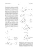 DIHYDROPYRIDONE P1 AS FACTOR XIA INHIBITORS diagram and image