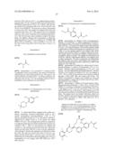 DIHYDROPYRIDONE P1 AS FACTOR XIA INHIBITORS diagram and image