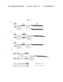 MULTI-CONJUGATE OF SIRNA AND PREPARING METHOD THEREOF diagram and image