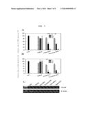 MULTI-CONJUGATE OF SIRNA AND PREPARING METHOD THEREOF diagram and image