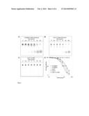 BISPECIFIC APTAMERS MEDIATING TUMOUR CELL LYSIS diagram and image