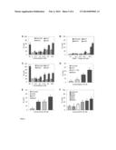 BISPECIFIC APTAMERS MEDIATING TUMOUR CELL LYSIS diagram and image