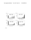 BISPECIFIC APTAMERS MEDIATING TUMOUR CELL LYSIS diagram and image