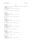 BISPECIFIC APTAMERS MEDIATING TUMOUR CELL LYSIS diagram and image