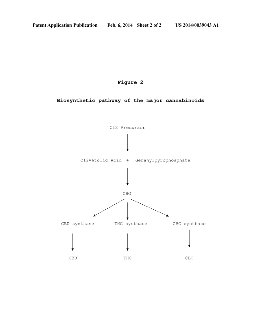 PHARMACEUTICAL COMPOSITIONS COMPRISING CANNABIGEROL - diagram, schematic, and image 03