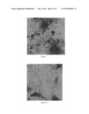 FILAMENTOUS POLYMER PARTICLES AND USE THEREOF AS RHEOLOGY MODIFIERS diagram and image