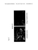 POLYMALIC ACID-BASED MULTIFUNCTIONAL DRUG DELIVERY SYSTEM diagram and image