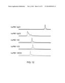 ANTI-NR10 ANTIBODY AND USE THEREOF diagram and image