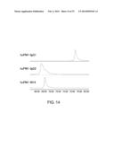 ANTI-NR10 ANTIBODY AND USE THEREOF diagram and image