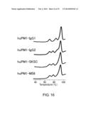 ANTI-NR10 ANTIBODY AND USE THEREOF diagram and image