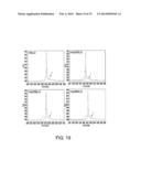 ANTI-NR10 ANTIBODY AND USE THEREOF diagram and image