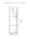 COMPOSITION FOR TOPICAL SKIN APPLICATION CONTAINING GINSENOSIDE F2 DERIVED     FROM HYDROPONIC GINSENG diagram and image