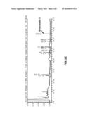 COMPOSITION FOR TOPICAL SKIN APPLICATION CONTAINING GINSENOSIDE F2 DERIVED     FROM HYDROPONIC GINSENG diagram and image