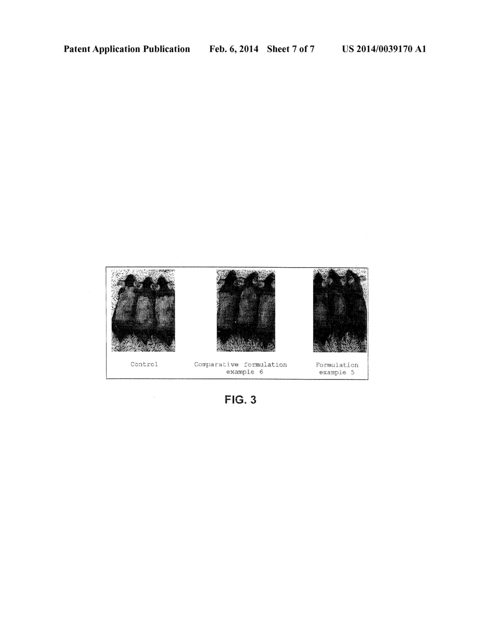 COMPOSITION FOR TOPICAL SKIN APPLICATION CONTAINING GINSENOSIDE F2 DERIVED     FROM HYDROPONIC GINSENG - diagram, schematic, and image 08