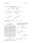 COMPOSITIONS AND PROCESSES OF PREPARING AND USING THE SAME diagram and image