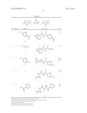 COMPOSITIONS AND PROCESSES OF PREPARING AND USING THE SAME diagram and image