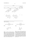 COMPOSITIONS AND PROCESSES OF PREPARING AND USING THE SAME diagram and image