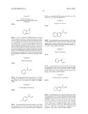 COMPOSITIONS AND PROCESSES OF PREPARING AND USING THE SAME diagram and image