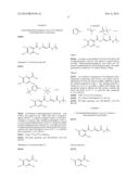 NOVEL PROCESS FOR THE PREPARATION OF ACYLGUANIDINES AND ACYLTHIOUREAS diagram and image