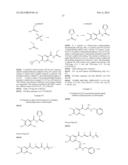 NOVEL PROCESS FOR THE PREPARATION OF ACYLGUANIDINES AND ACYLTHIOUREAS diagram and image