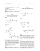 NOVEL PROCESS FOR THE PREPARATION OF ACYLGUANIDINES AND ACYLTHIOUREAS diagram and image