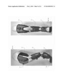 ORTHOPEDIC BRACE FOR ANIMALS diagram and image