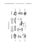 SYSTEM, METHOD, AND APPARATUS FOR ELECTRIC POWER GRID AND NETWORK     MANAGEMENT OF GRID ELEMENTS diagram and image