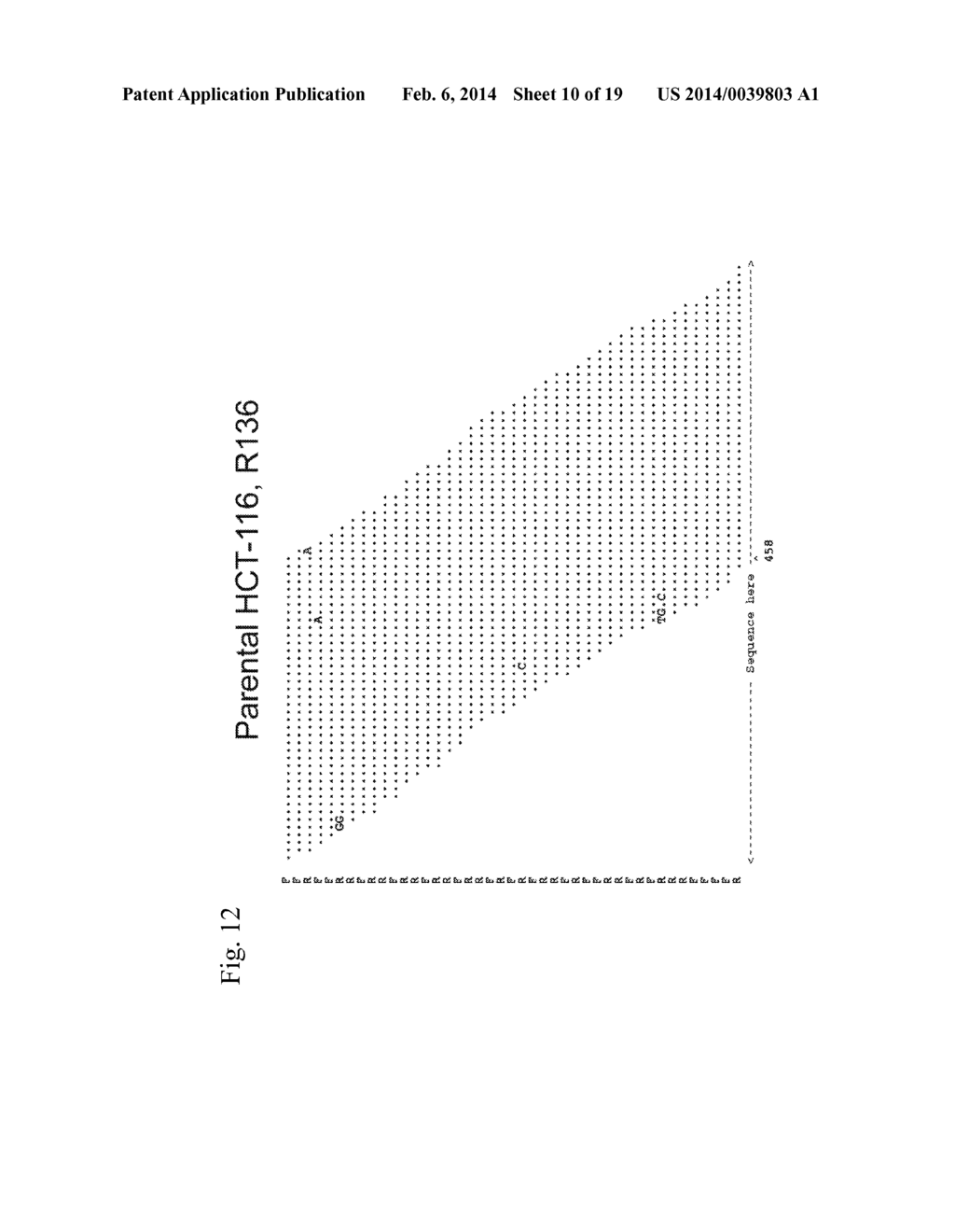 Method for Rapid Identification of Drug Targets and Drug Mechanisms of     Action in Human Cells - diagram, schematic, and image 11