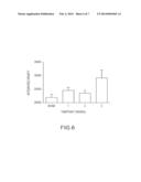 Animal Model of Central Neuropathic Pain and Methods of Making and Using     the Same diagram and image