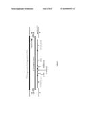 SOYBEAN TRANSGENIC EVENT MON 87708 AND METHODS OF USE THEREOF diagram and image