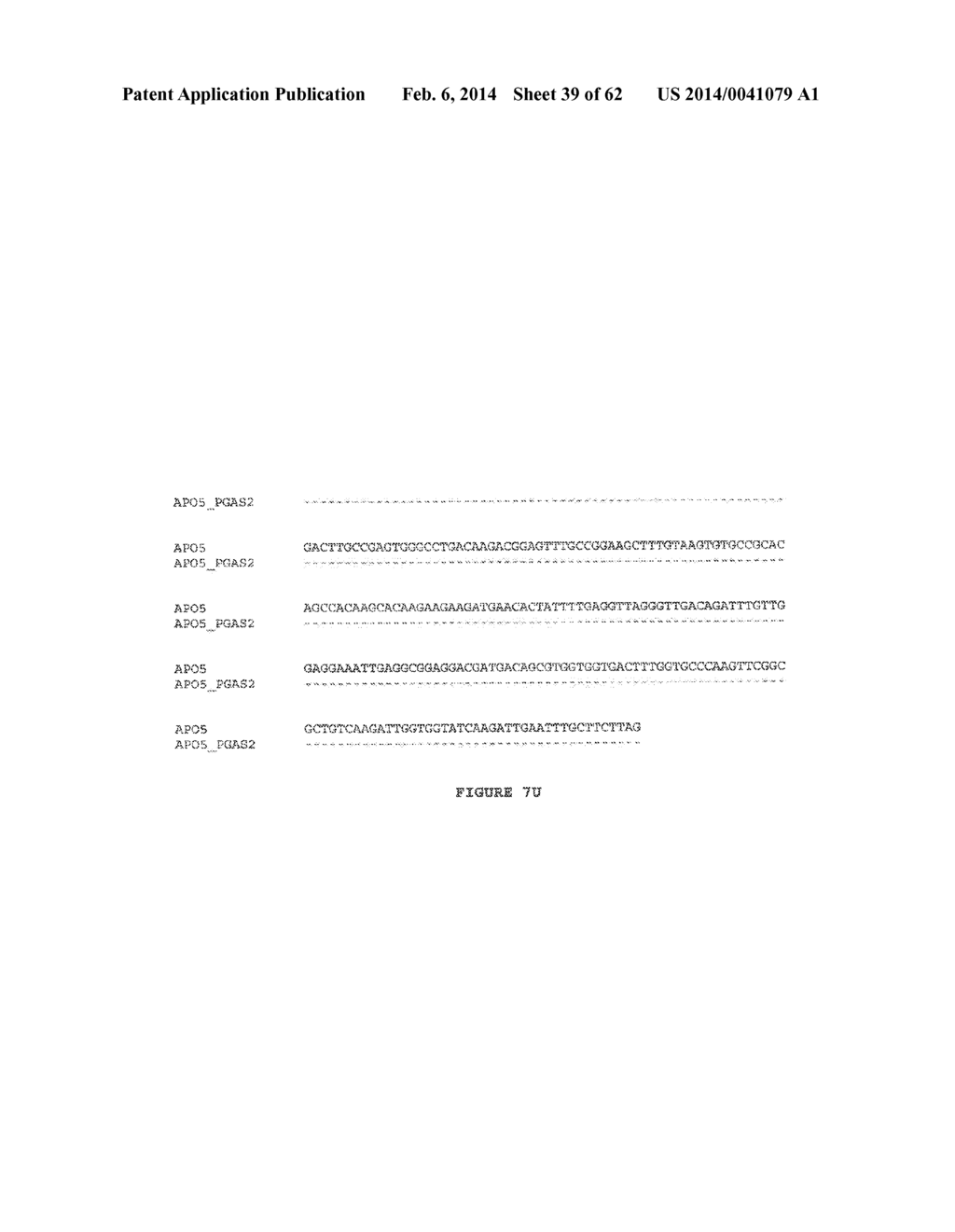 GENETICALLY MODIFIED REDUCED-BROWNING FRUIT-PRODUCING PLANT AND PRODUCED     FRUIT THEREOF, AND METHOD OF OBTAINING SUCH - diagram, schematic, and image 40