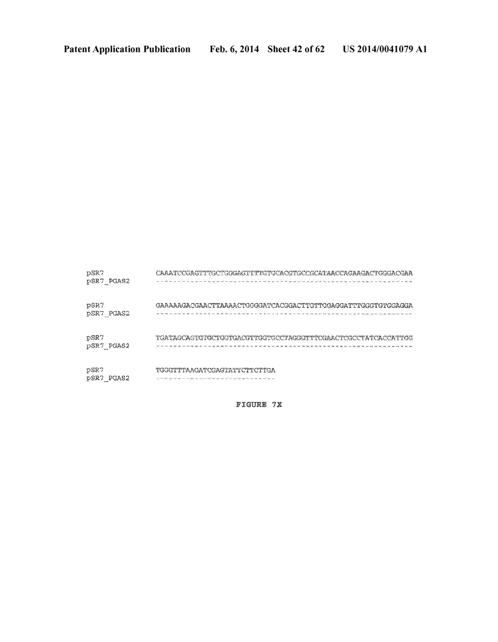 GENETICALLY MODIFIED REDUCED-BROWNING FRUIT-PRODUCING PLANT AND PRODUCED     FRUIT THEREOF, AND METHOD OF OBTAINING SUCH - diagram, schematic, and image 43