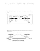 STACKED HERBICIDE TOLERANCE EVENT 8264.44.06.1, RELATED TRANSGENIC SOYBEAN     LINES, AND DETECTION THEREOF diagram and image