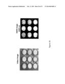 System and Method for Drug Detection Using SWIR diagram and image