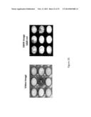 System and Method for Drug Detection Using SWIR diagram and image