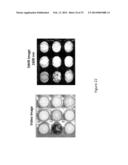 System and Method for Drug Detection Using SWIR diagram and image