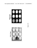 System and Method for Drug Detection Using SWIR diagram and image