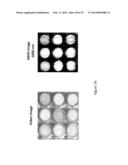 System and Method for Drug Detection Using SWIR diagram and image