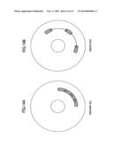 INFORMATION PROCESSING SYSTEM, METHOD AND RECORDING MEDIUM diagram and image