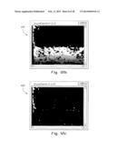 METHOD OF IDENTIFYING AN OBJECT IN A VISUAL SCENE diagram and image