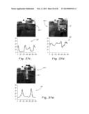 METHOD OF IDENTIFYING AN OBJECT IN A VISUAL SCENE diagram and image