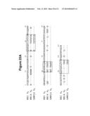 Antibody Therapy diagram and image