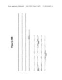 Antibody Therapy diagram and image