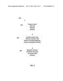 Magnetic Calcium Phosphate Nanoparticles, Applications And Methods Of     Preparation Thereof diagram and image